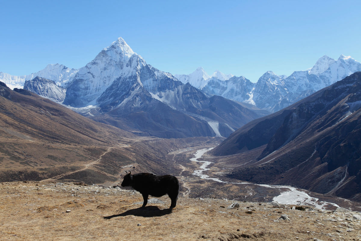 Everest Trek